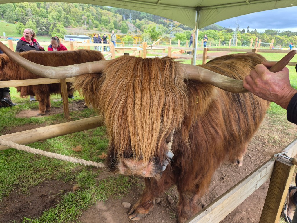 Scottish Highlands